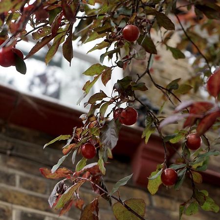 Beautiful London Home Sleeps 6, 2 Minutes To Metro Εξωτερικό φωτογραφία
