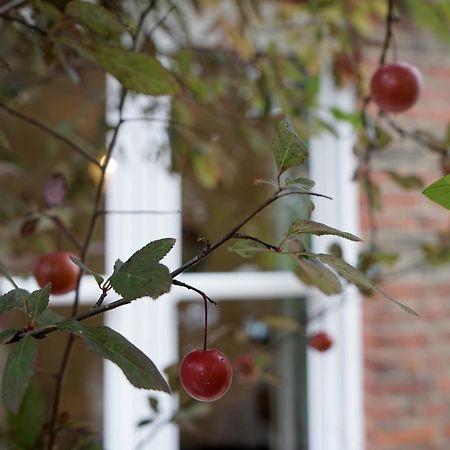 Beautiful London Home Sleeps 6, 2 Minutes To Metro Εξωτερικό φωτογραφία