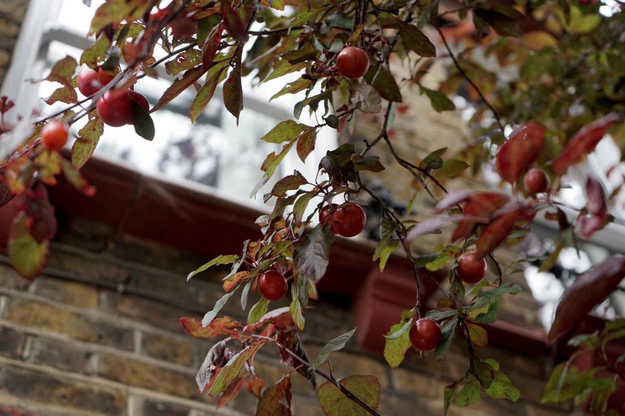 Beautiful London Home Sleeps 6, 2 Minutes To Metro Εξωτερικό φωτογραφία