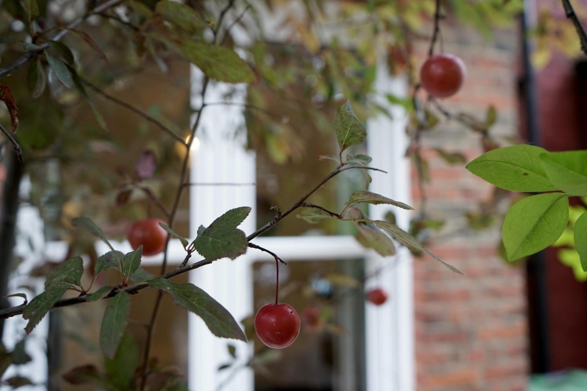 Beautiful London Home Sleeps 6, 2 Minutes To Metro Εξωτερικό φωτογραφία